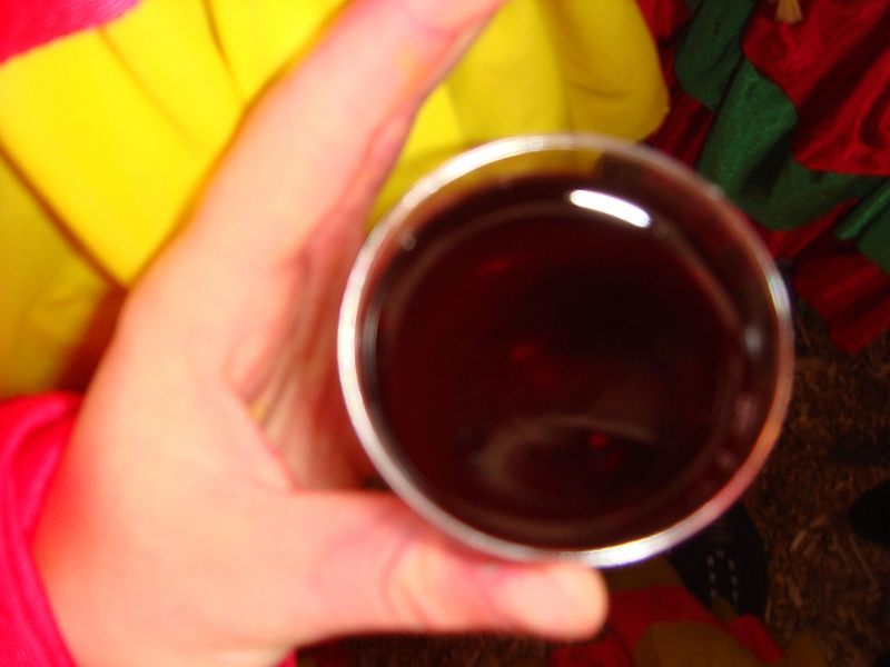DSC09554.JPG